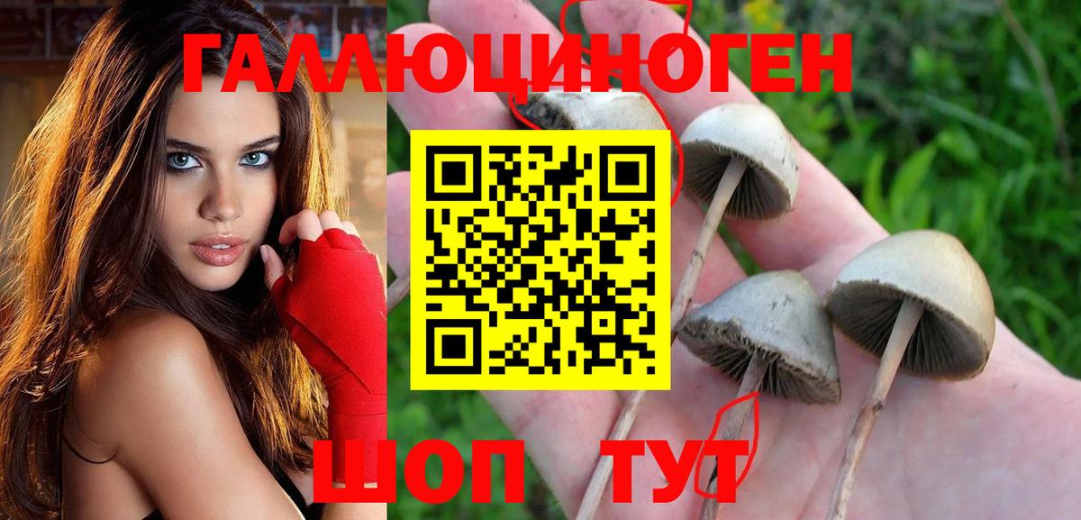 Галлюциногенные грибы MAGIC MUSHROOMS Саки